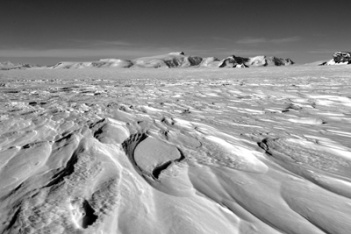 Sastrugi - wind compacted and shaped snow (Nov 2011)